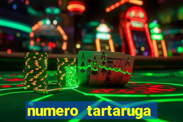 numero tartaruga jogo do bicho